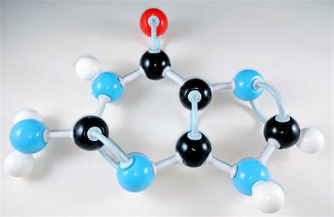 Guanine Molecule – Duluth Labs