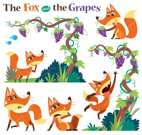 Premium Vector | Set of the fox and the grapes isolated on white