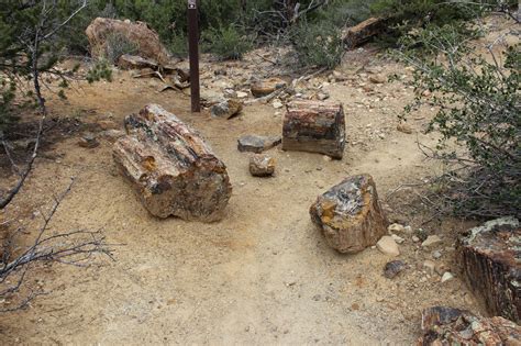 gjhikes.com: Petrified Forest/Sleeping Rainbow