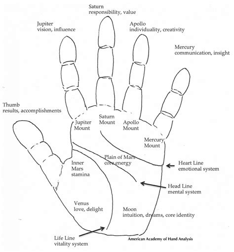 AAHA Basic Hand Map - American Academy of Hand Analysis