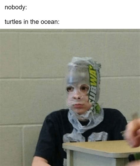 I like turtles : r/memes