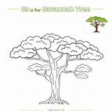 Premium Vector  Coloring Page Savannah Tree sketch template