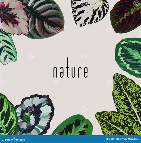 Slogan Nature Flowers Leaves Dark Background Cartoon Vector ...