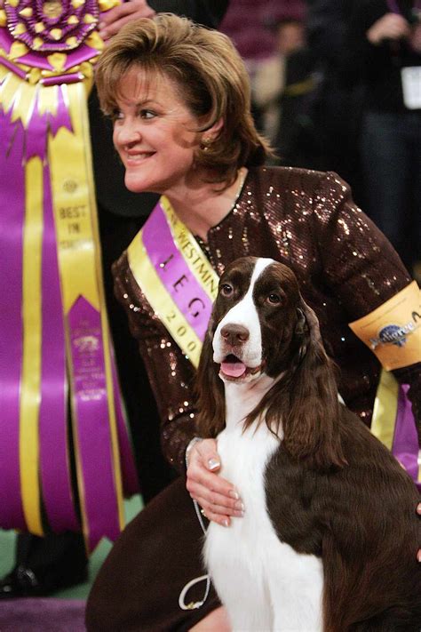 Westminster Dog Show Best in Show Winners for the Last 17 Years