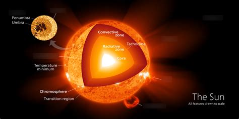 Surface Features of the Sun Diagram | Quizlet