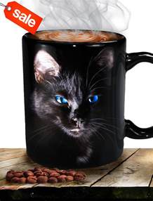 Best Gift For Cat Lovers