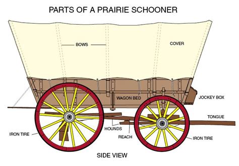 conestoga wagon plans | Labeled diagram great for notebook page. Also ...