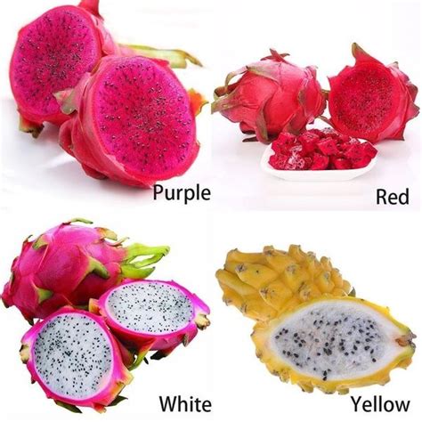 20pcs/Bag Pitaya Seeds Dragon Fruit Seeds Bonsai Hylocereus Undatus ...