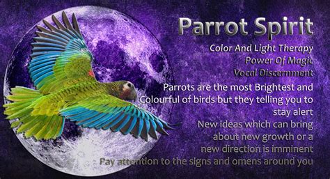 Parrot spirit | Animal spirit guides, Spirit animal meaning, Animal ...