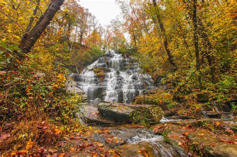 The Best Spots to View Fall Foliage in the South Carolina Mountains