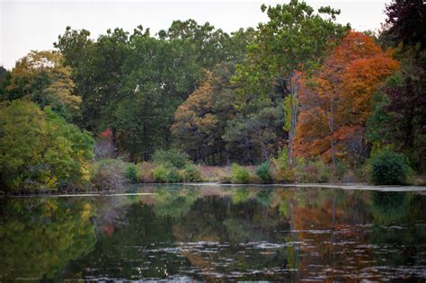 The Morton Arboretum / FALL 2016 | Maria Peterson Photography