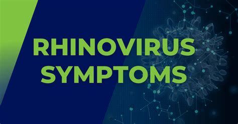 Rhinovirus Symptoms - Writerve