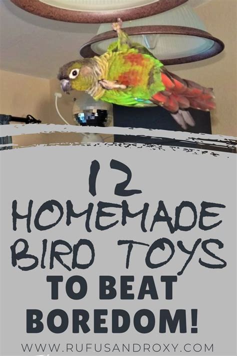 12 Quick & Easy DIY Bird Toys to Beat Boredom | Homemade bird toys, Bird toys, Parrot toys