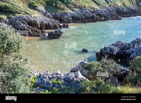 Wild beaches of Cantabria, Spain Stock Photo - Alamy