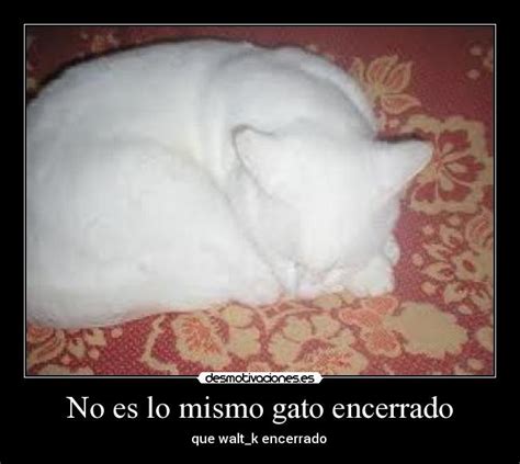 No es lo mismo gato encerrado | Desmotivaciones