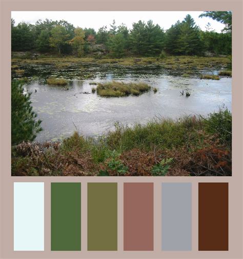 discover color nature marsh swamp forest color palette Spring Color Palette, Green Colour ...