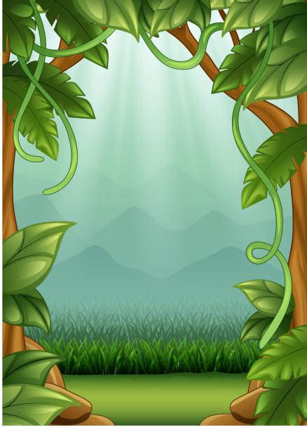 Royalty Free Jungle Vines Clip Art, Vector Images & Illustrations - iStock