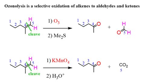 Ozonolysis of Alkenes with Practice Problems - Chemistry Steps