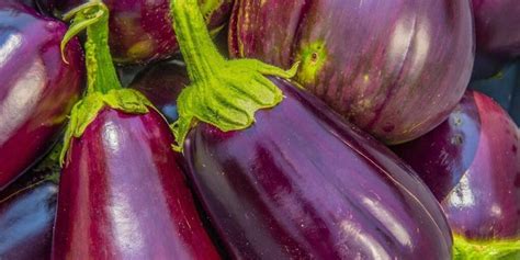 Brinjal / बैंगन : Benefits and Side Effects - Tasted Recipes