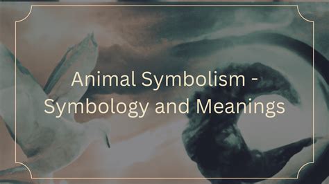 Animal Symbolism – Symbology and Meanings in 2022 | Animal symbolism, Symbology, Symbols