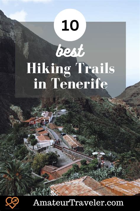 10 Best Hiking Trails in Tenerife - Canary Islands - Amateur Traveler