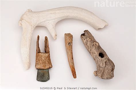 Mesolithic Tools