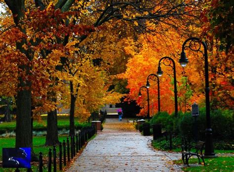 penn state campus university park autumn - Google Search | Penn state ...