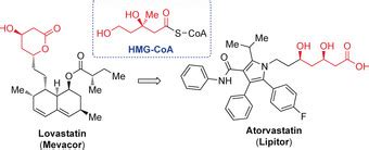 Development of HMG-CoA reductase inhibitors for the treatment of ...