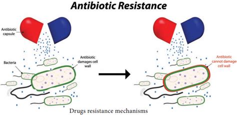 Drugs Resistance Mechanisms – NCERT MCQ