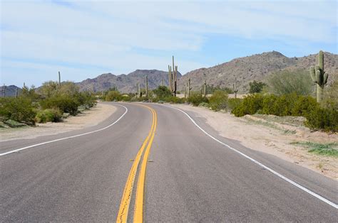 File:Cacti in Arizona.jpg - Roader's Digest: The SABRE Wiki