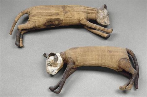 Ancient egyptian animal mummies – Artofit