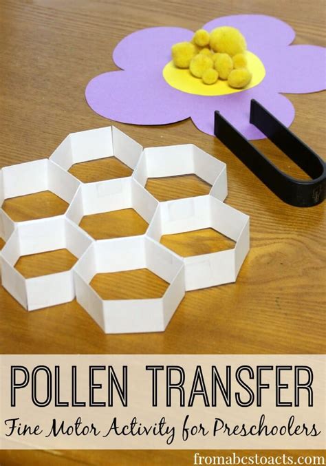 Pollen Transfer: Fine Motor Activity for Preschoolers | From ABCs to ACTs