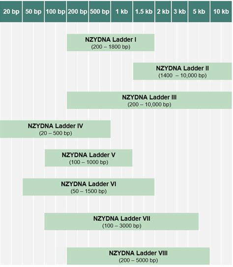 DNA Ladders Guide - Stratech