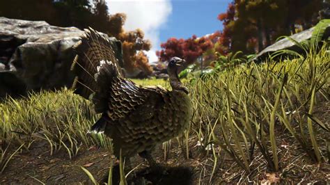 'ARK: Survival Evolved' Turkey Trial Guide: How to Get Wishbones & Find Super Turkeys - Newsweek