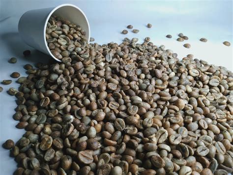 Robusta Coffee Beans | Inaexport