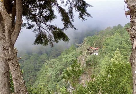 San José del Pacifico, Oaxaca - A Local Guide 2024