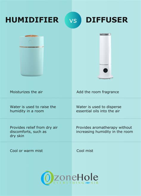 Humidifier vs Diffuser - What's the Difference? - The Ozone Hole