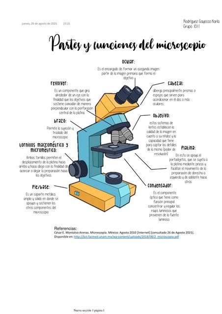 Partes y Funciones del Microscopio | Karla Rodríguez | uDocz