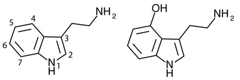 Tryptamine - Alchetron, The Free Social Encyclopedia