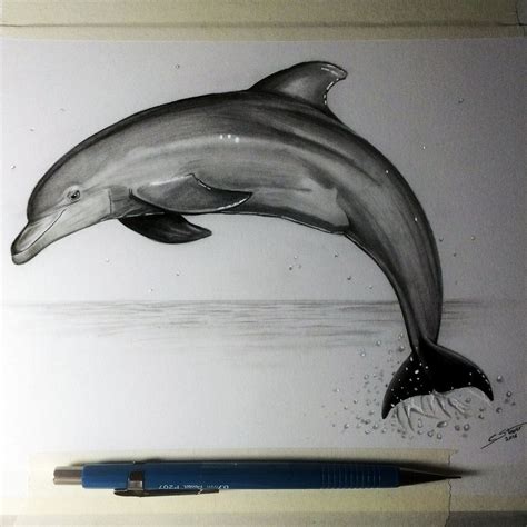 Gevonden op Bing via lethalchris.deviantart.com | Dolphin drawing ...