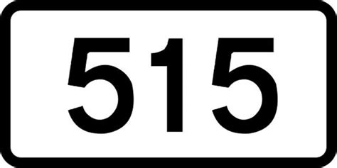 515 Angel Number Love Meaning & Why Are You Seeing It?