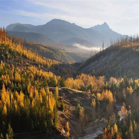 Where to Go for Fall Colors in Montana | Recommended By Montanans