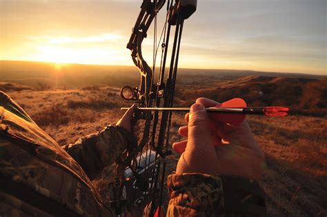 How to Build the Best Hunting Arrow - Petersen's Bowhunting