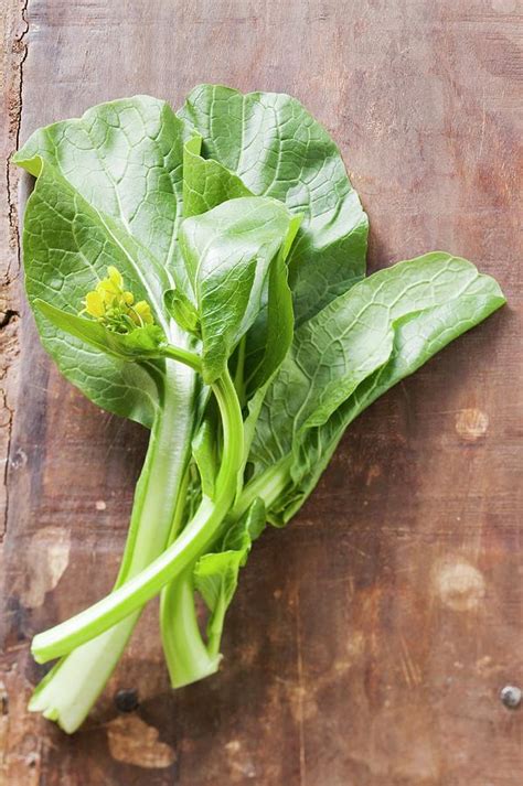 Choi Sum (chinese Flowering Cabbage) With Flowers Photograph by ...