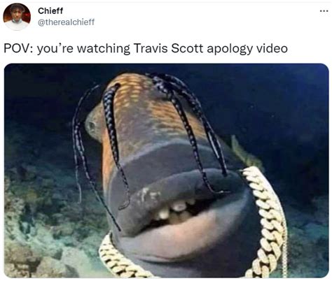 Travis Scott Fish Meme | Travis Scott's Apology Video | Know Your Meme