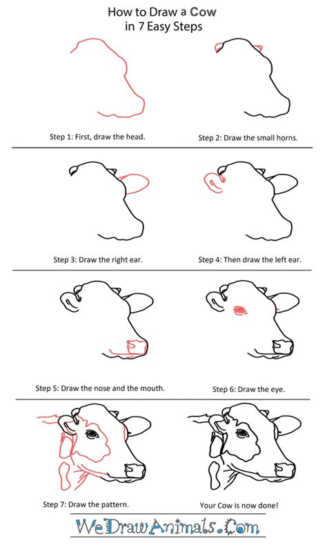 How To Draw A Cow Face Step By Step - hannahmclaren