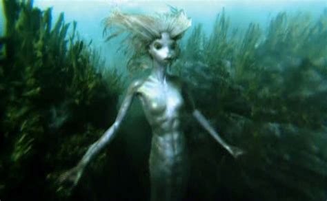 Harry Potter Mermaid Merperson by SebastianMerman on DeviantArt | Harry ...