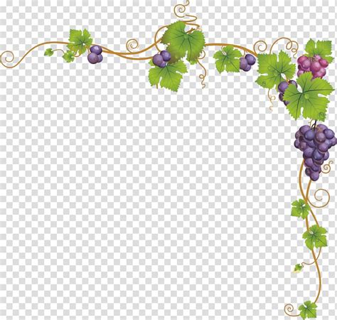 Grapevine clipart frame, Grapevine frame Transparent FREE for download on WebStockReview 2024