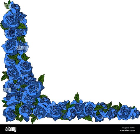 blue roses frame Stock Photo - Alamy