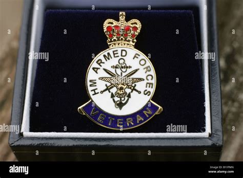 A UK armed forces veterans lapel badge Stock Photo - Alamy